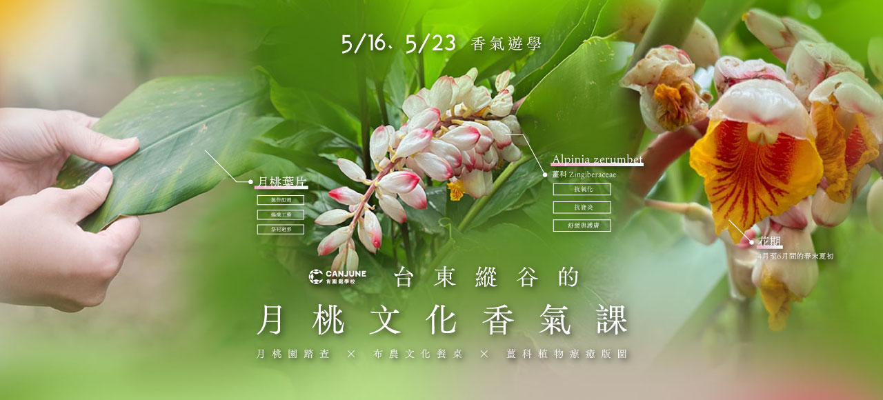 5/16 台東縱谷的月桃文化香氣課．一日行程