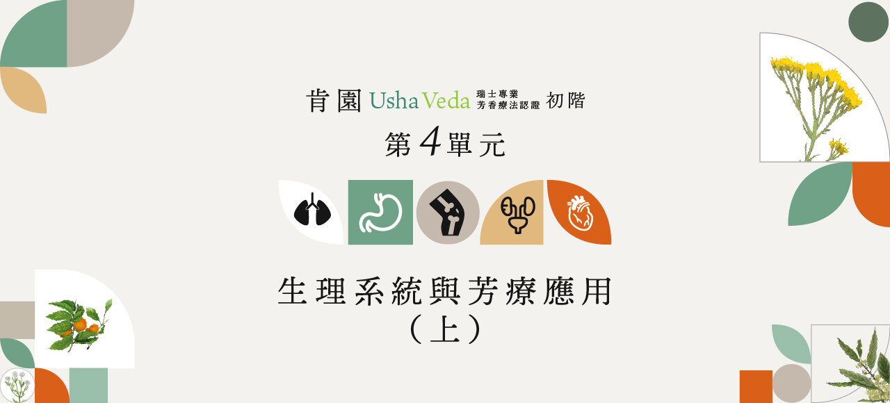 【認證初階】第四單元：生理系統與芳療應用（上）