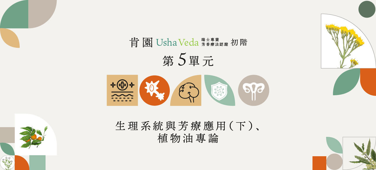 【認證初階】第五單元：生理系統與芳療應用（下）、植物油專論