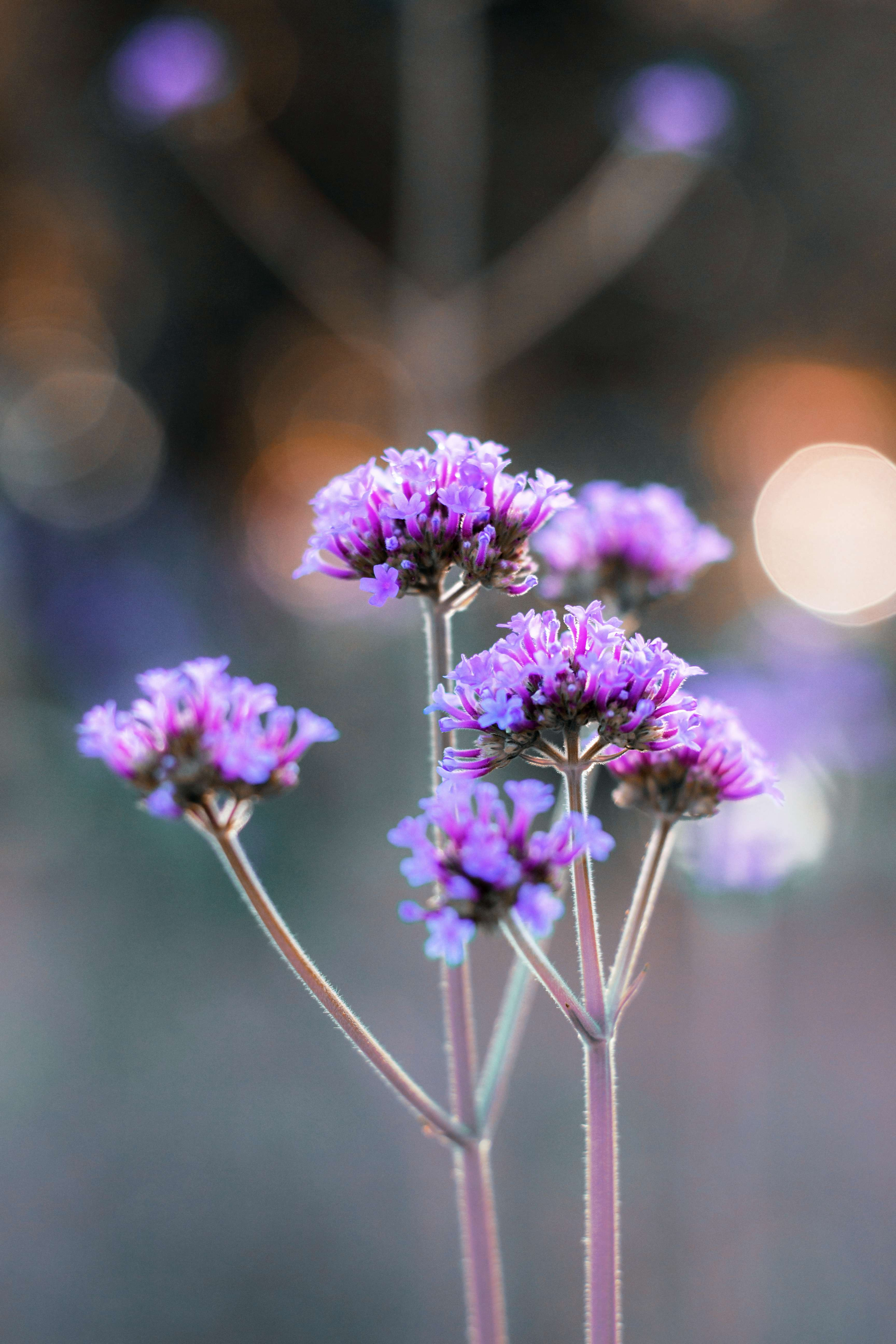 線上私塾經典課程