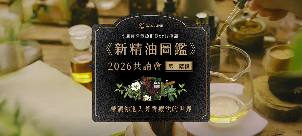 《新精油圖鑑》共讀會 ✦ 第二階段：進階策略思考（7-10月）
