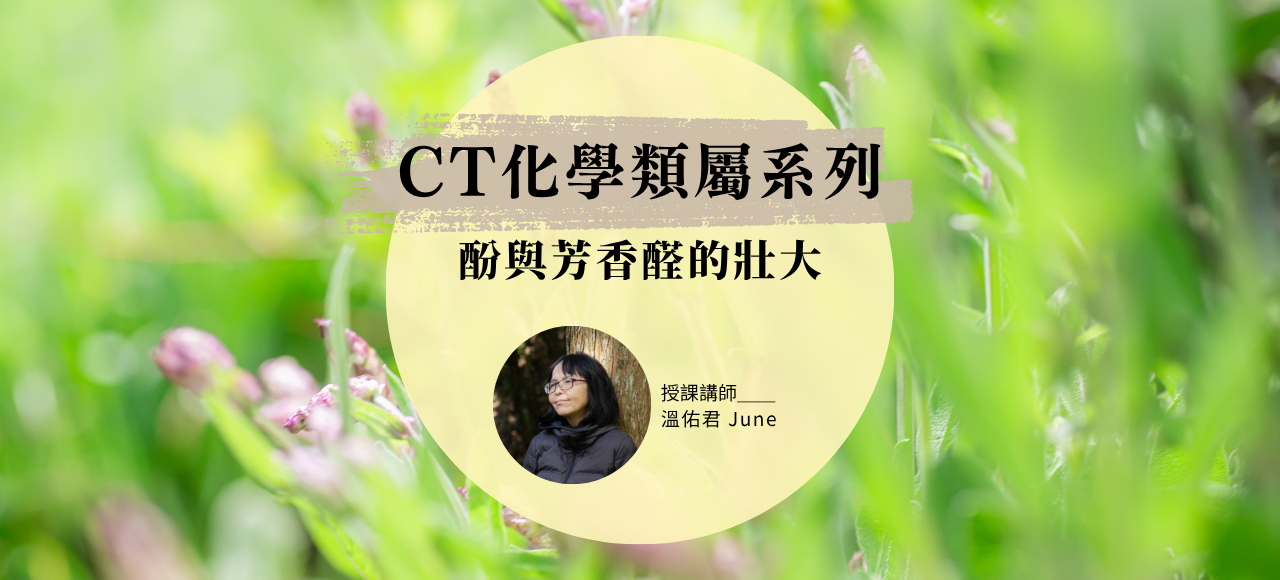 CT化學類屬系列：酚與芳香醛的壯大
