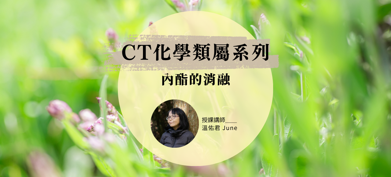 CT化學類屬系列：內酯的消融