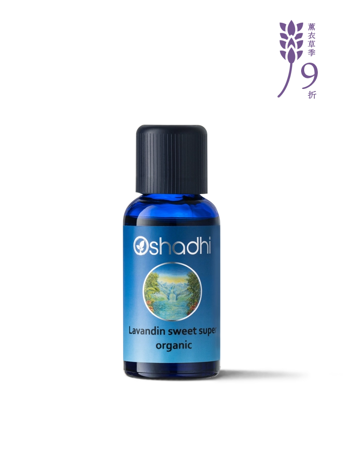 甜醒目薰衣草-特級