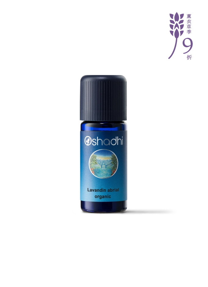 亞碧拉醒目薰衣草-特級