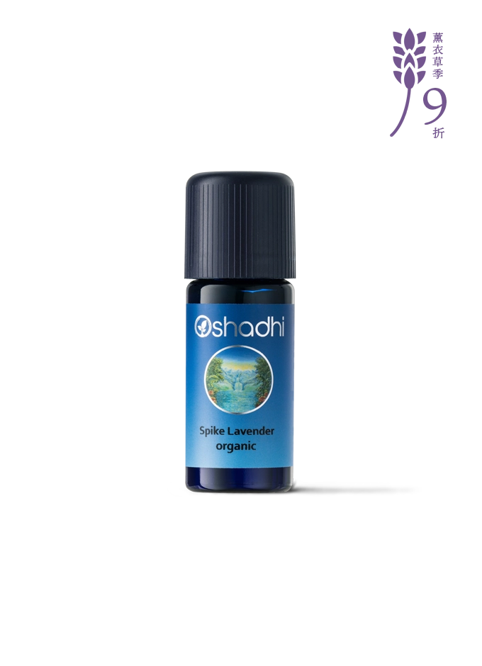 穗花薰衣草-特級