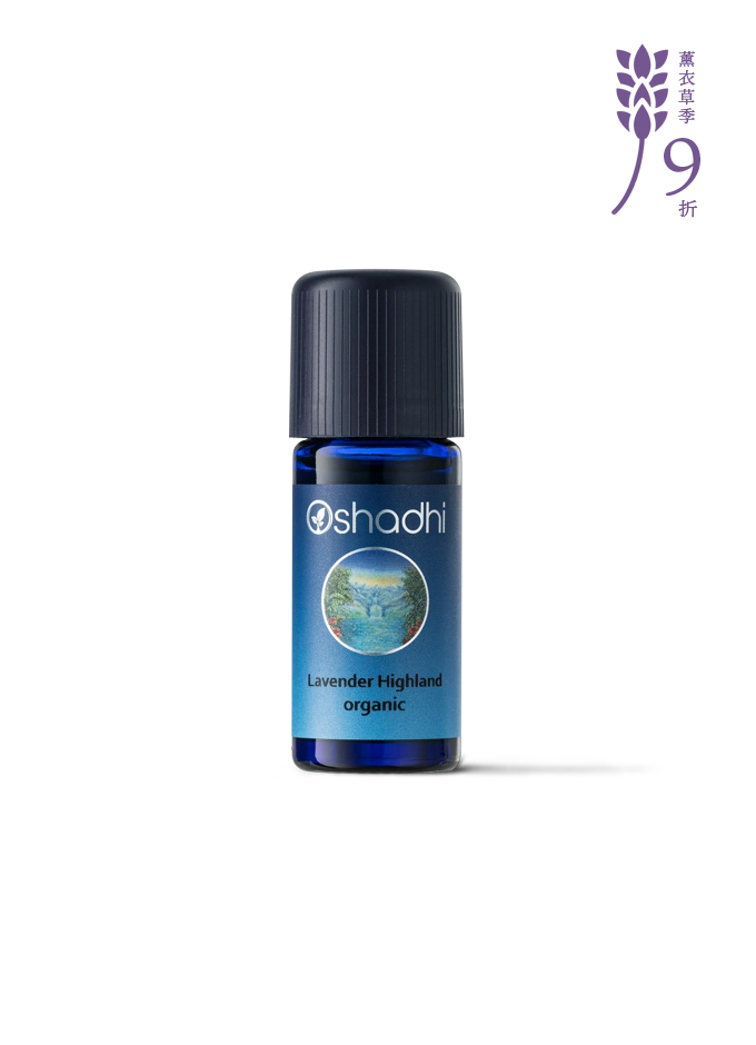 高地真正薰衣草-特級
