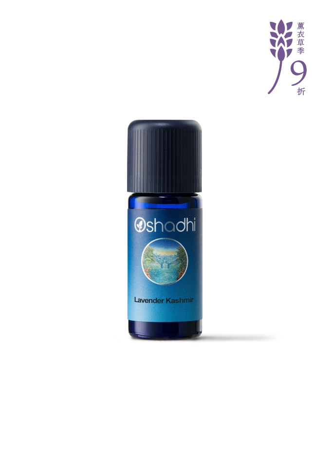 喀什米爾薰衣草