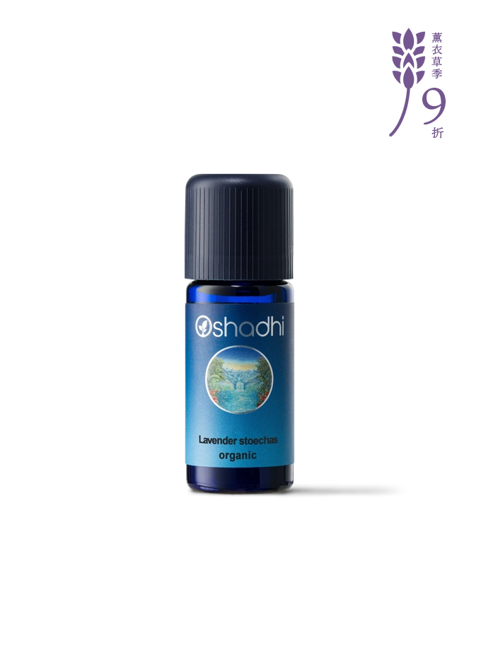 頭狀薰衣草-特級