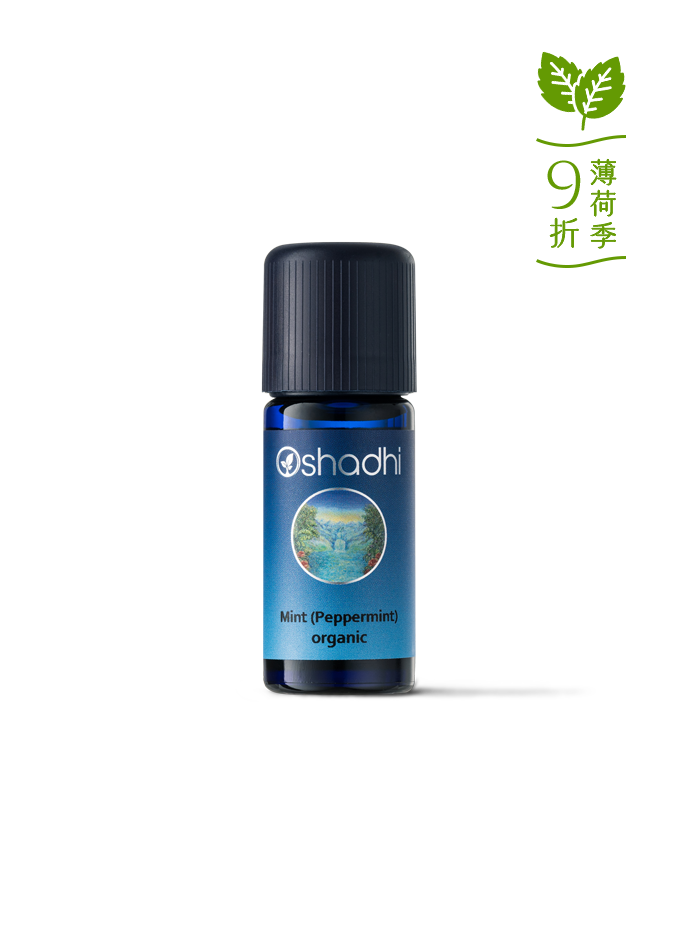 胡椒薄荷-特級