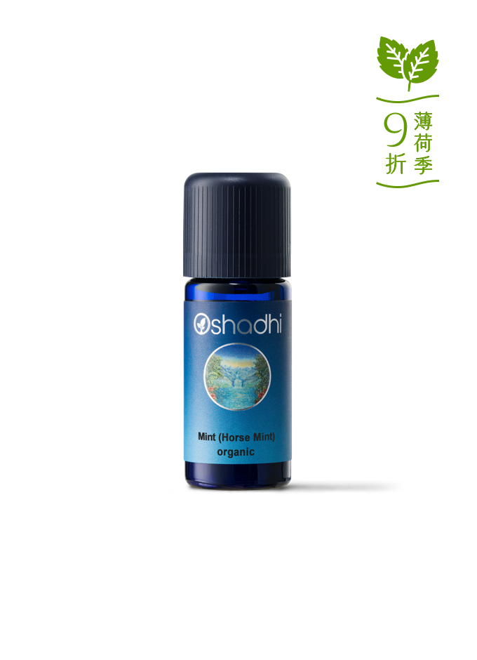 馬薄荷-特級