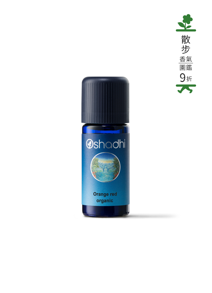 血橙-特級