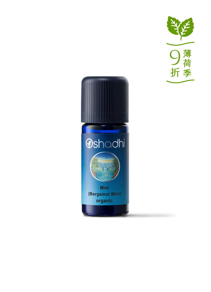 檸檬薄荷-特級