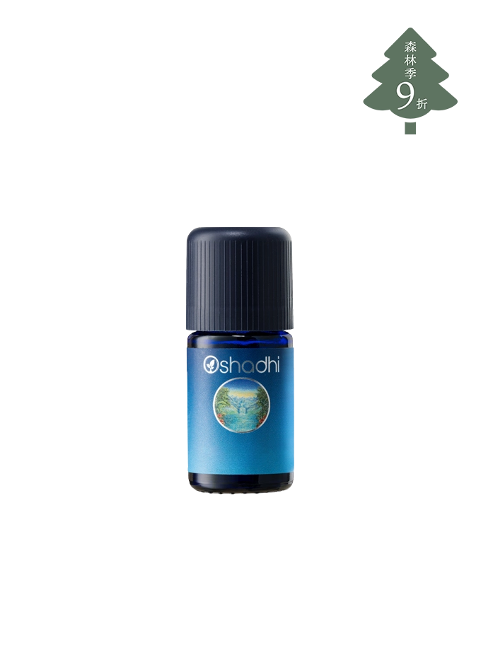 喜馬拉雅冷杉-特級