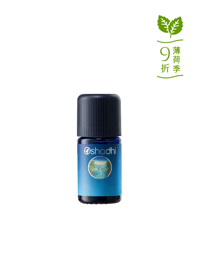 夏季香薄荷