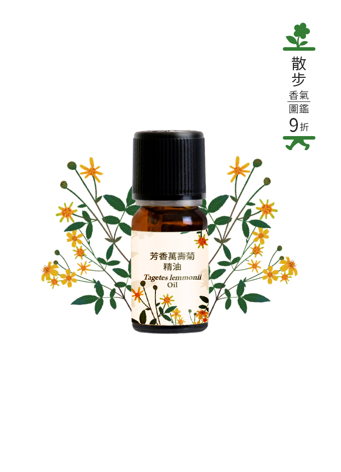 在地系列芳香萬壽菊精油