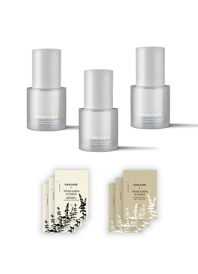 🌿 犬香薷護膚系列🌿 3入  85 折組