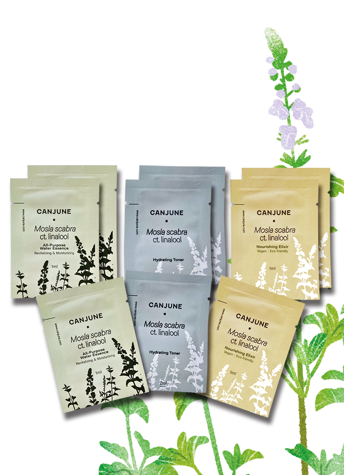 犬香薷護膚旅行組-三日份