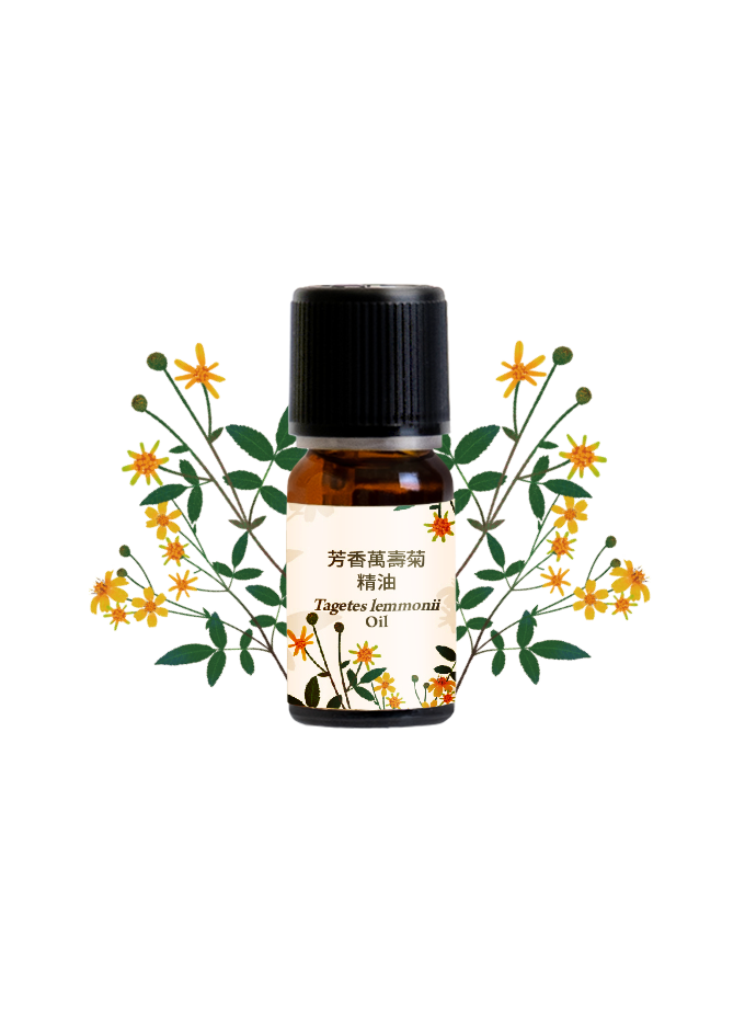 在地系列芳香萬壽菊精油