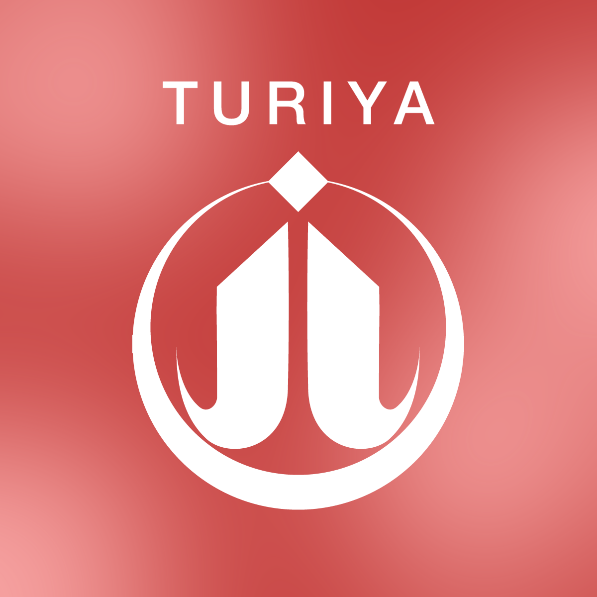 TURIYA-2027流年純精油