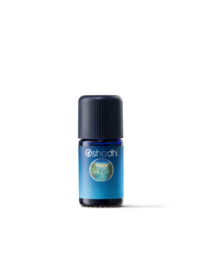 芭樂葉(番石榴葉)